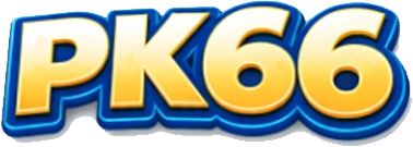 vnpk66 Logo